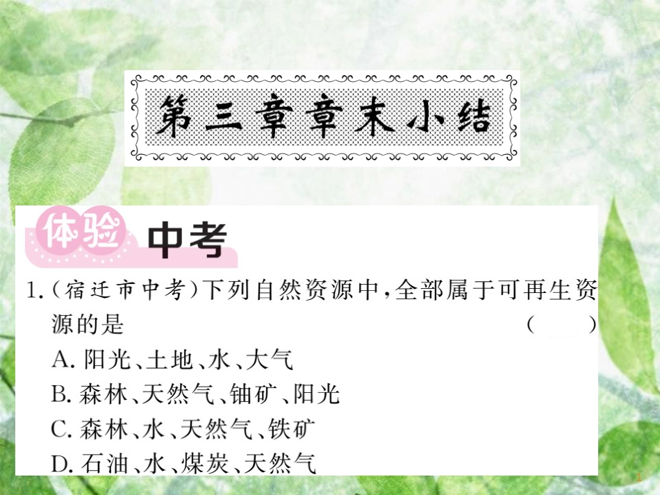八年级地理上册 第3章 中国的自然资源章末小结习题优质课件 （新版）湘教版_第1页
