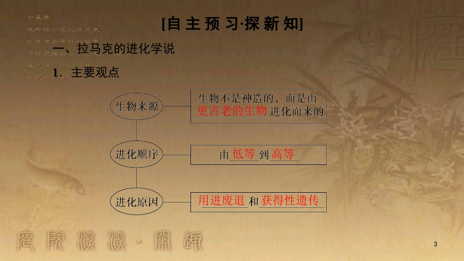 高中生物 第七章 现代生物进化理论 第1节 现代生物进化理论的由来优质课件 新人教版必修2_第3页