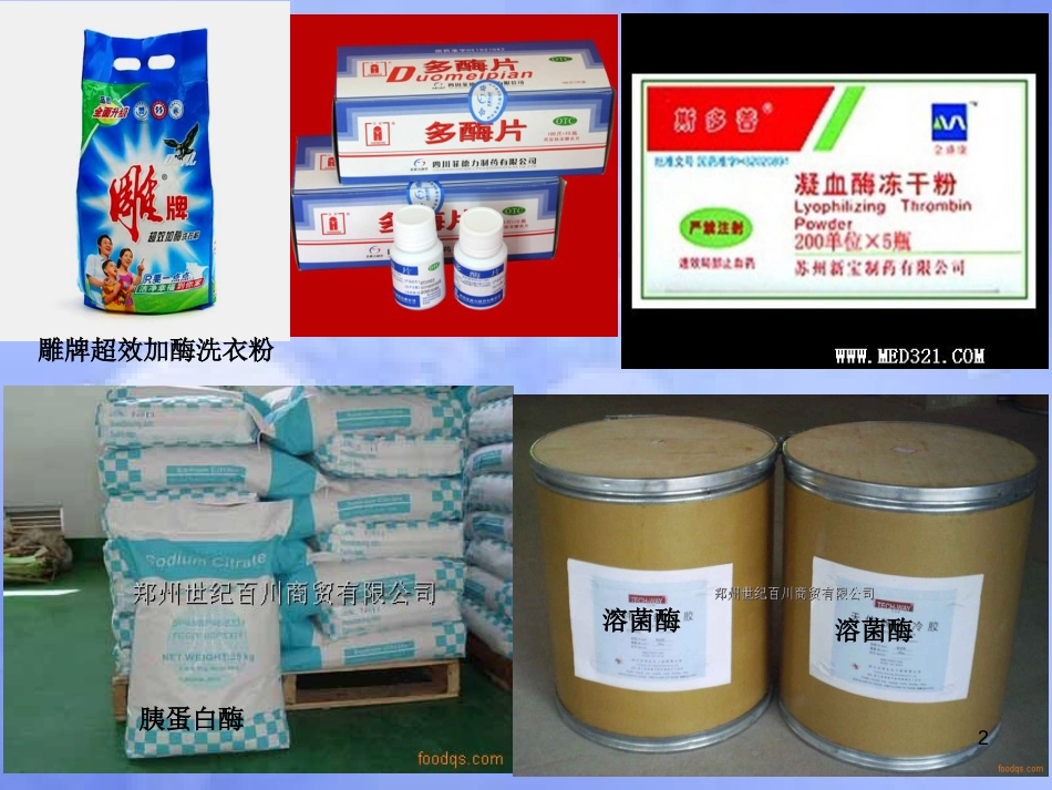 高中生物 第二章 生物科学与工业 2.2 酶在工业生产中的应用课件 浙科版选修2_第2页