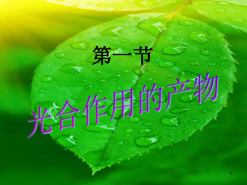 八年级生物上册 第3章 第1节 光合作用的产物优质课件 （新版）冀教版_第1页