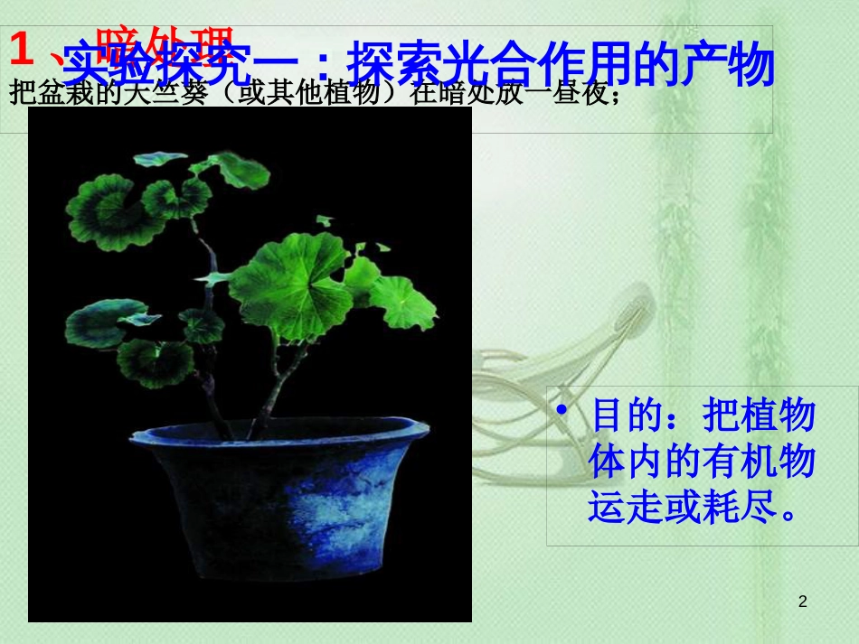 八年级生物上册 第3章 第1节 光合作用的产物优质课件 （新版）冀教版_第2页
