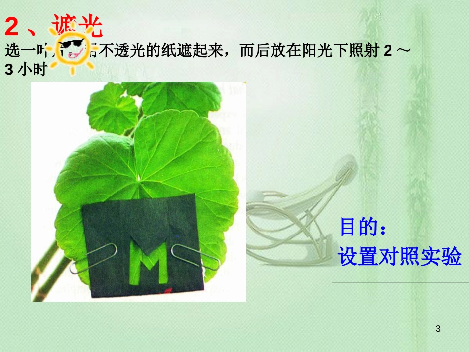 八年级生物上册 第3章 第1节 光合作用的产物优质课件 （新版）冀教版_第3页