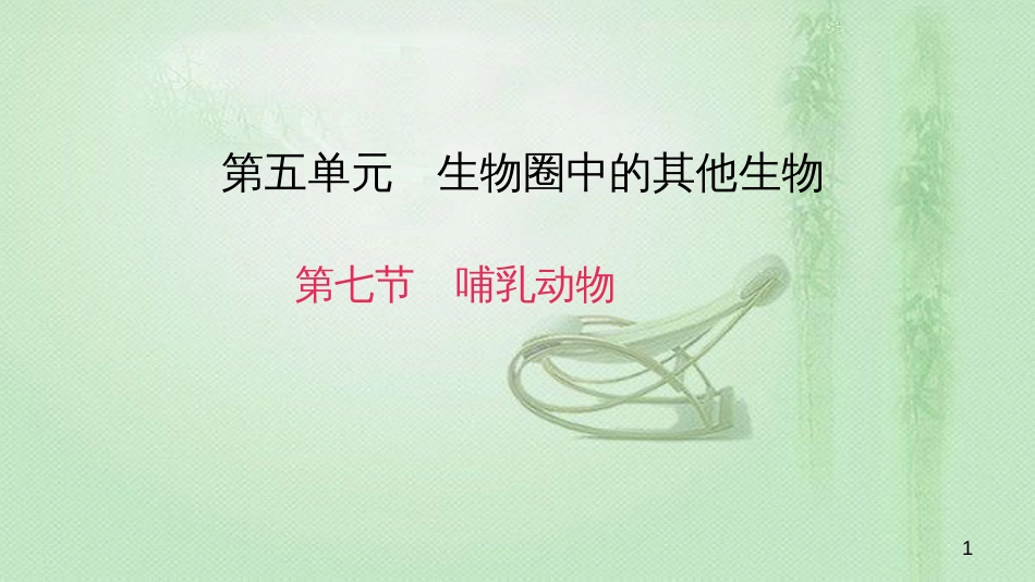八年级生物上册 第五单元 第一章 第七节 哺乳动物优质课件 （新版）新人教版_第1页