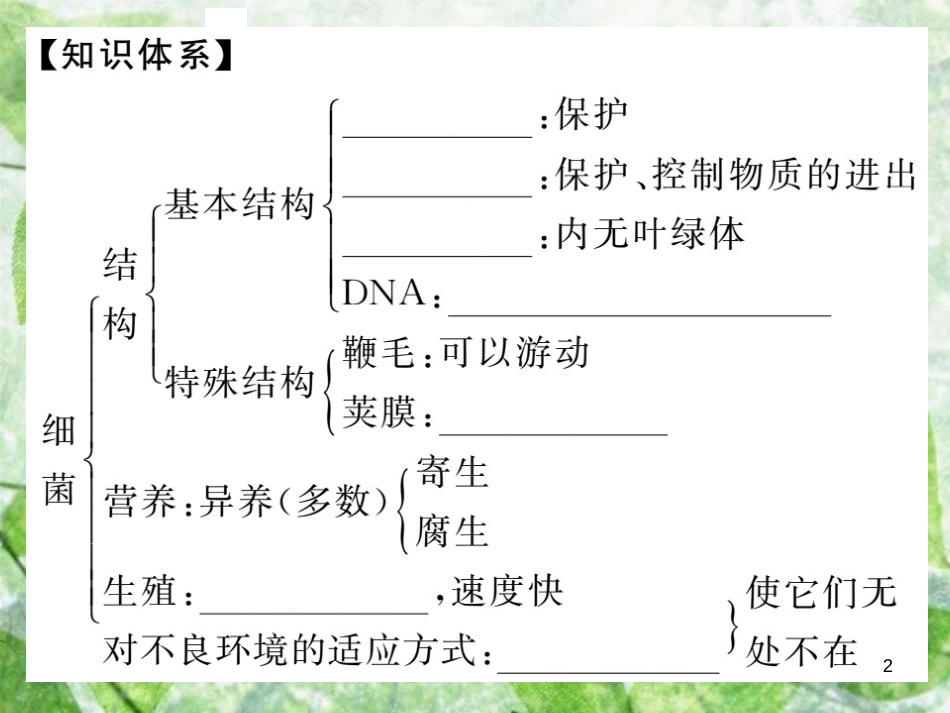 八年级生物上册 第五单元 第四章 第二节 细菌（第2课时 细菌的结构和生活）习题优质课件 （新版）新人教版_第2页