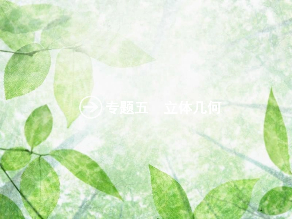 高考数学二轮复习 第二部分 专题五 立体几何 5.1 几何体的三视图与面积、体积的专项练优质课件 理_第1页