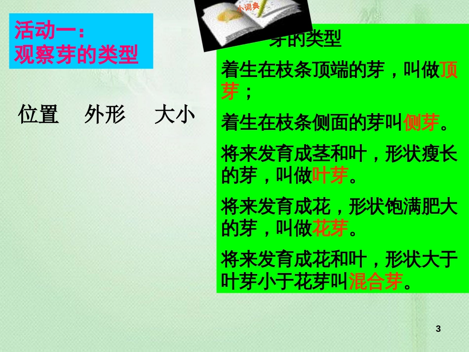 八年级生物上册 第三单元 第一章 第三节 芽的发育优质课件 （新版）冀教版_第3页