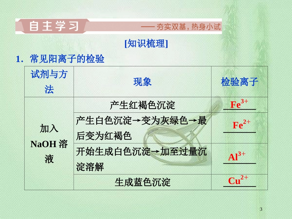 高考化学一轮复习 第10章 化学实验基础 第2节 物质的检验、分离和提纯优质课件 鲁科版_第3页