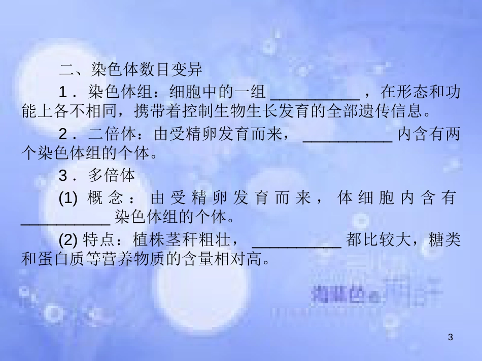 高考生物一轮复习 第四单元 基因的表达 第2讲 染色体变异课件 新人教版必修2_第3页