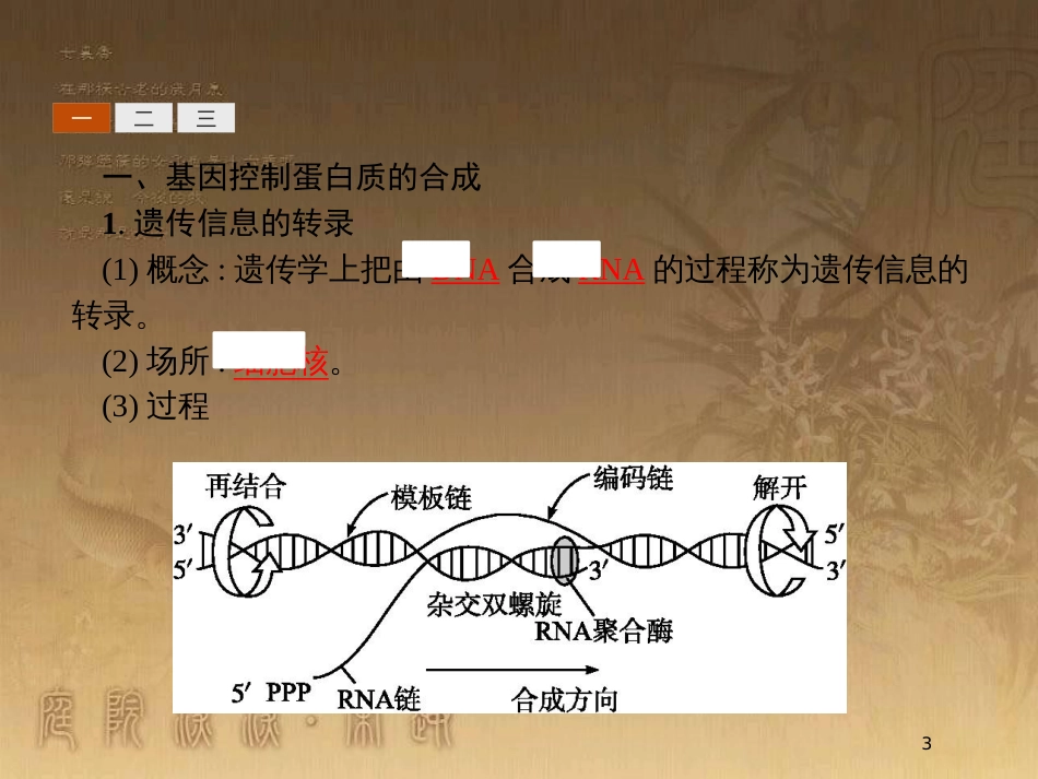 高中生物 第3章 遗传信息的复制与表达 3.2 遗传信息的表达优质课件 北师大版必修2_第3页