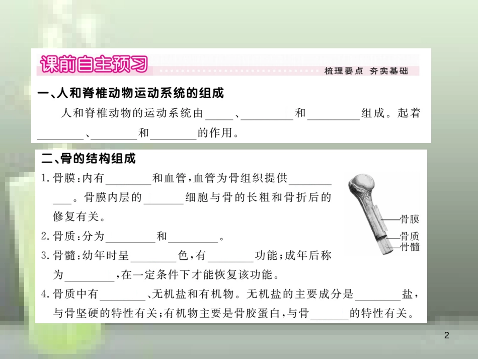 八年级生物上册 5.15.2 动物运动的形成（第1课时 骨和关节）优质课件 （新版）北师大版_第2页