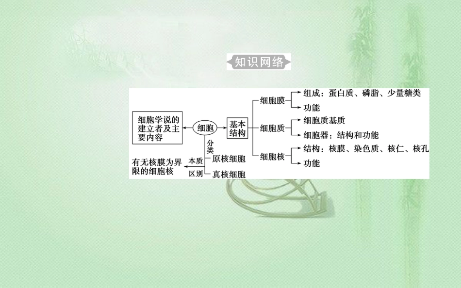 高中生物学业水平复习 专题二 细胞的结构 考点1 细胞学说的建立过程优质课件_第3页