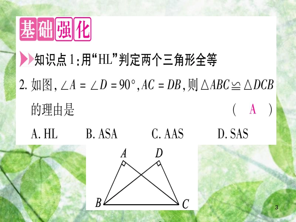 八年级数学上册 第17章 特殊三角形 17.4 直角三角形全等的判定优质课件 （新版）冀教版_第3页