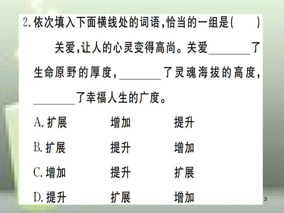 （武汉专用）八年级语文上册 专题二 词语的辨析与运用习题优质课件 新人教版_第3页