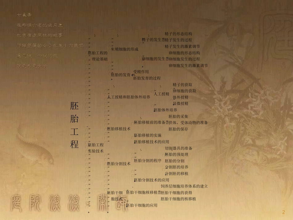 高中生物 第2章 胚胎工程本章整合优质课件 北师大版选修3_第2页