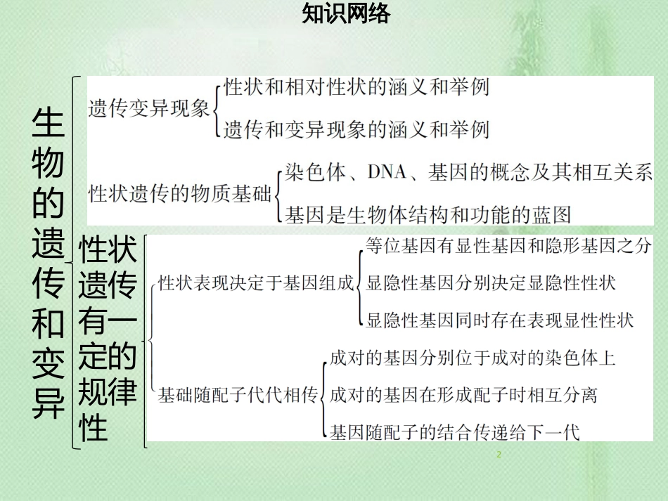 八年级生物上册 第六单元 第20章 生物的遗传和变异章末小结习题优质课件 （新版）北师大版_第2页