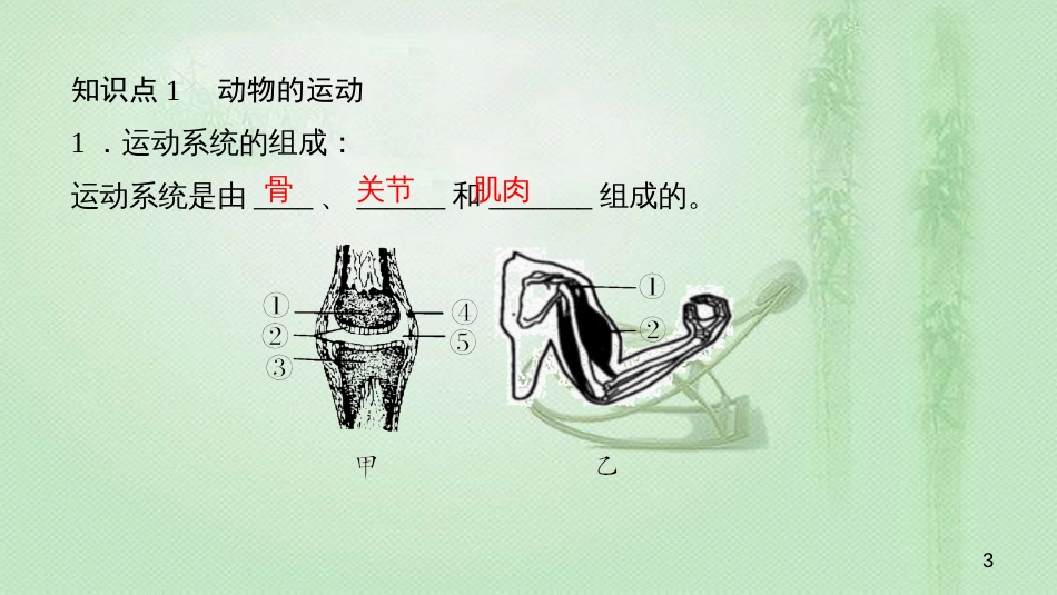 八年级生物上册 第五单元 第二、三章小结复习优质课件 （新版）新人教版_第3页