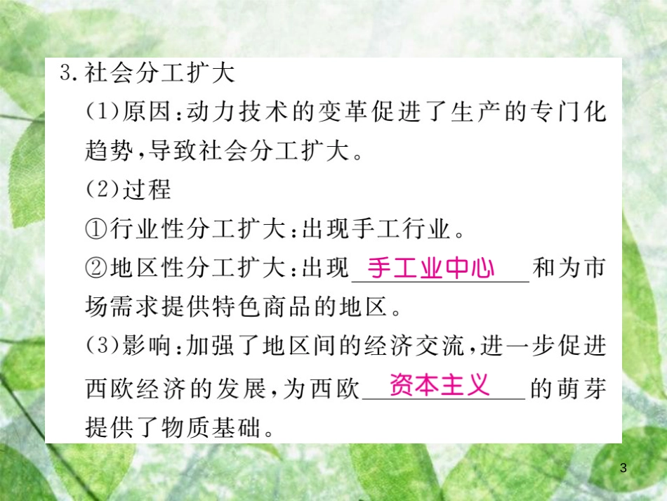 九年级历史上册 第五单元 资本主义的兴起 第12课 西欧资本主义的产生习题优质课件 川教版_第3页