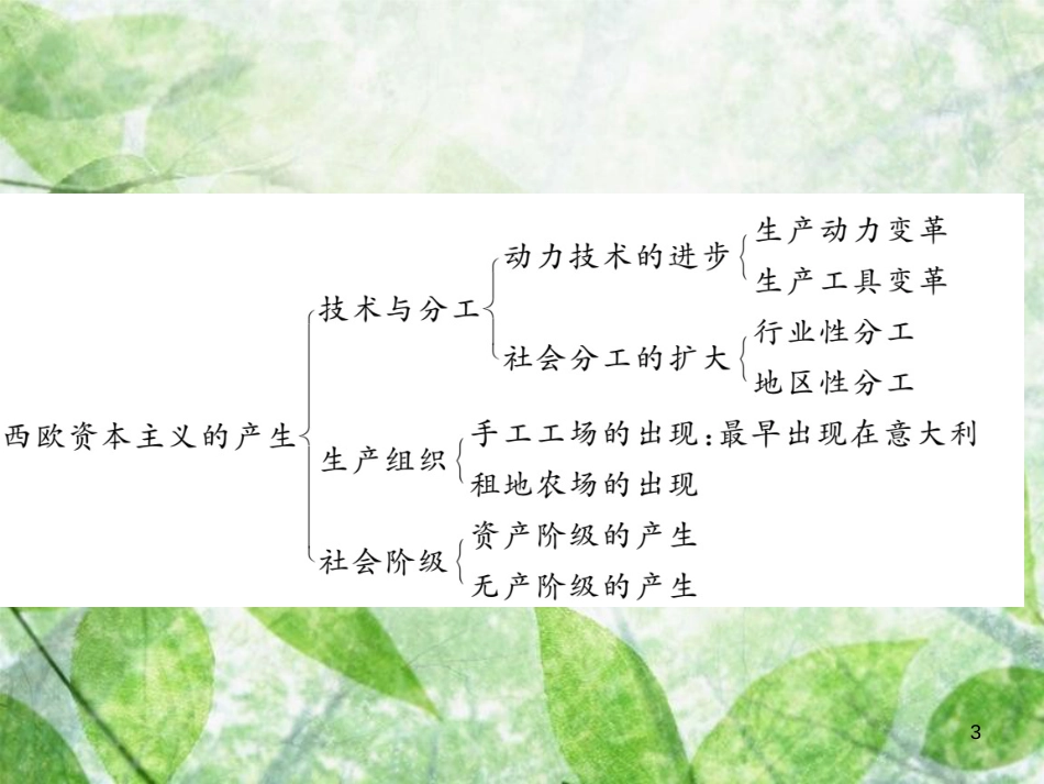 九年级历史上册 第五单元 资本主义的兴起年代尺&#8226;单元要点习题优质课件 川教版_第3页