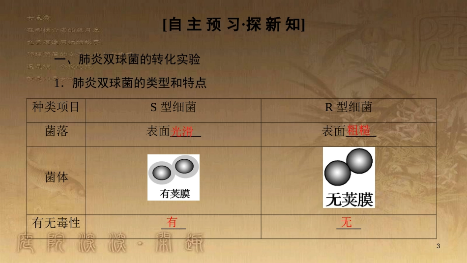 高中生物 第4章 遗传的分子基础 第1节 探索遗传物质的过程优质课件 苏教版必修2_第3页