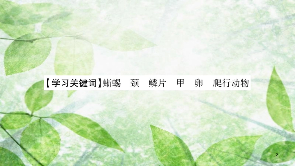 八年级生物上册 第5单元 第1章 第5节 两栖东物和爬行动物第2课时习题优质课件 （新版）新人教版_第2页