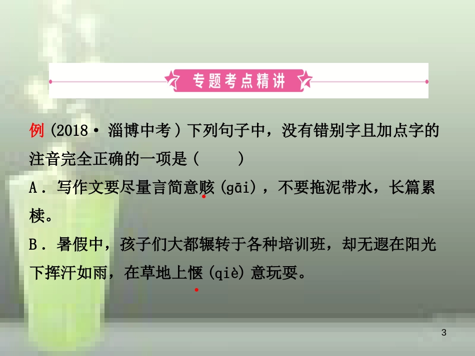 （淄博专版）2019届中考语文 专题一 字音字形优质课件_第3页