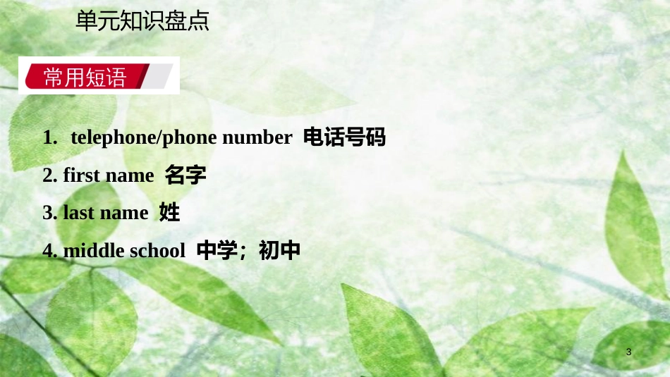 七年级英语上册 Unit 1 My name’s Gina单元知识盘点优质课件 （新版）人教新目标版_第3页