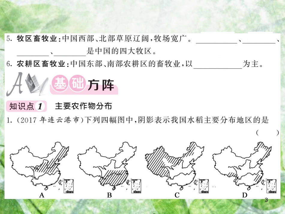 八年级地理上册 第4章 第一节 农业（第2课时 主要农作物分布 畜牧业分布）习题优质课件 （新版）湘教版_第3页