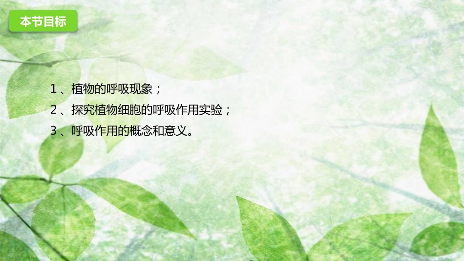 七年级生物上册 2.1.4《绿色植物的呼吸作用》优质课件 （新版）济南版_第3页