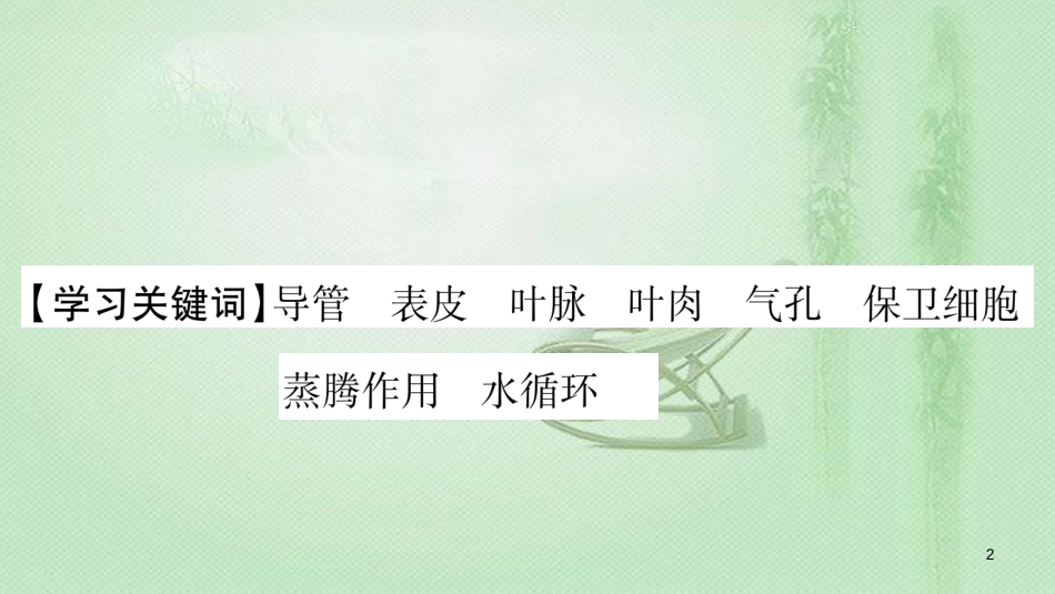 七年级生物上册 第3单元 第3章 绿色植物与生物圈的水循环习题优质课件 （新版）新人教版_第2页