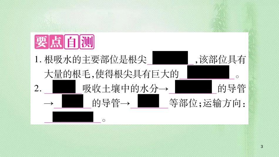 七年级生物上册 第3单元 第3章 绿色植物与生物圈的水循环习题优质课件 （新版）新人教版_第3页