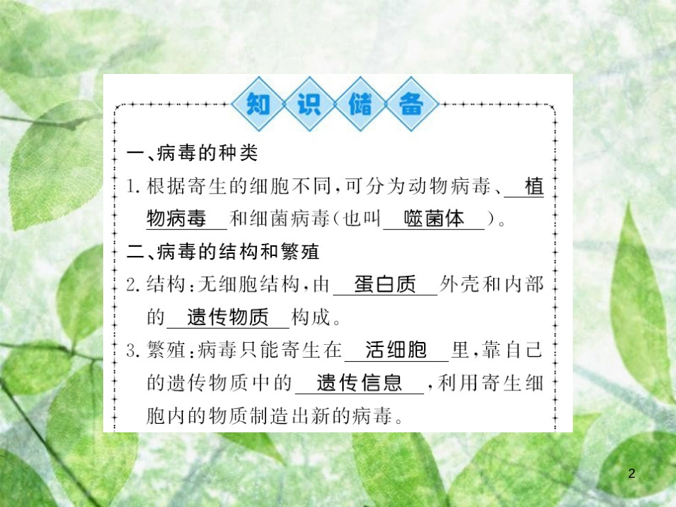 八年级生物上册 第五单元 第5章 病毒习题优质课件 （新版）新人教版_第2页