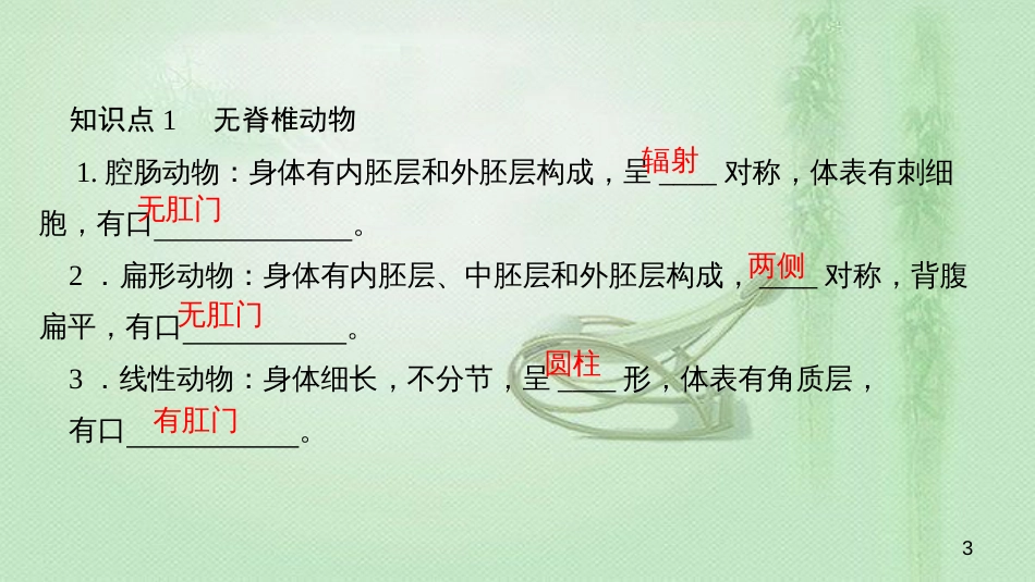 八年级生物上册 第五单元 第一章 动物的主要类群小结复习优质课件 （新版）新人教版_第3页