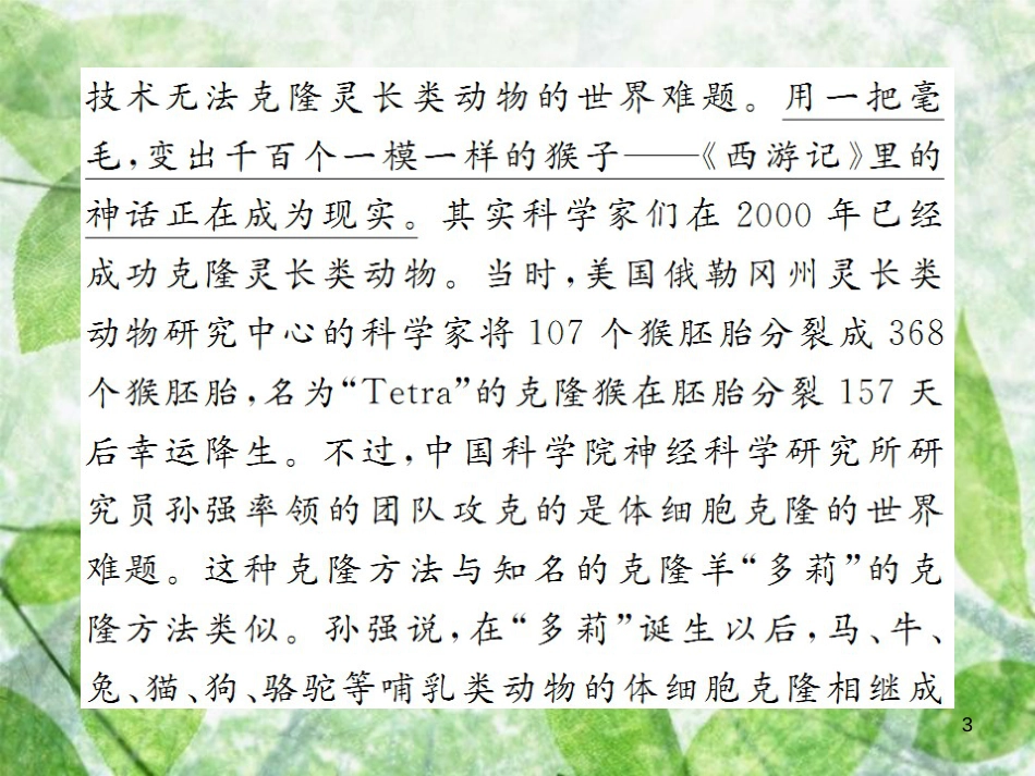 七年级语文上册 第五单元 非连续性文本阅读专练（五）习题优质课件 新人教版_第3页