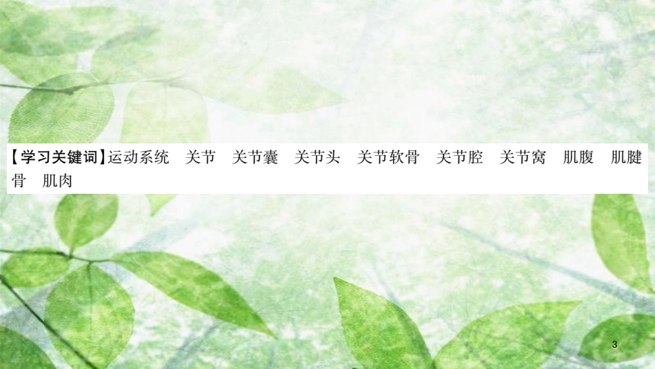 八年级生物上册 第5单元 第2章 第1节 动物的运动习题优质课件 （新版）新人教版_第3页