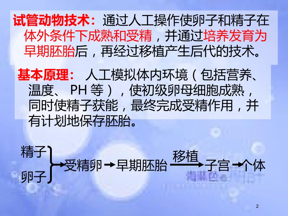 福建省寿宁县高中生物 胚胎工程 3.2 体外受精和早期胚胎培养课件 新人教版选修3_第2页