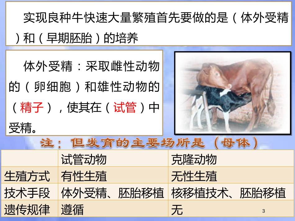 福建省寿宁县高中生物 胚胎工程 3.2 体外受精和早期胚胎培养课件 新人教版选修3_第3页
