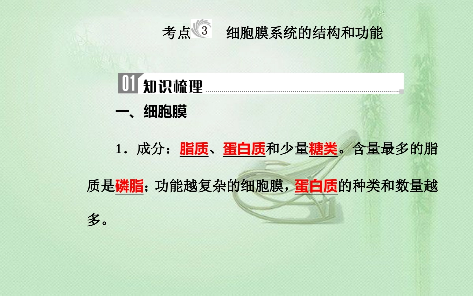 高中生物学业水平复习 专题二 细胞的结构 考点3 细胞膜系统的结构和功能优质课件_第2页