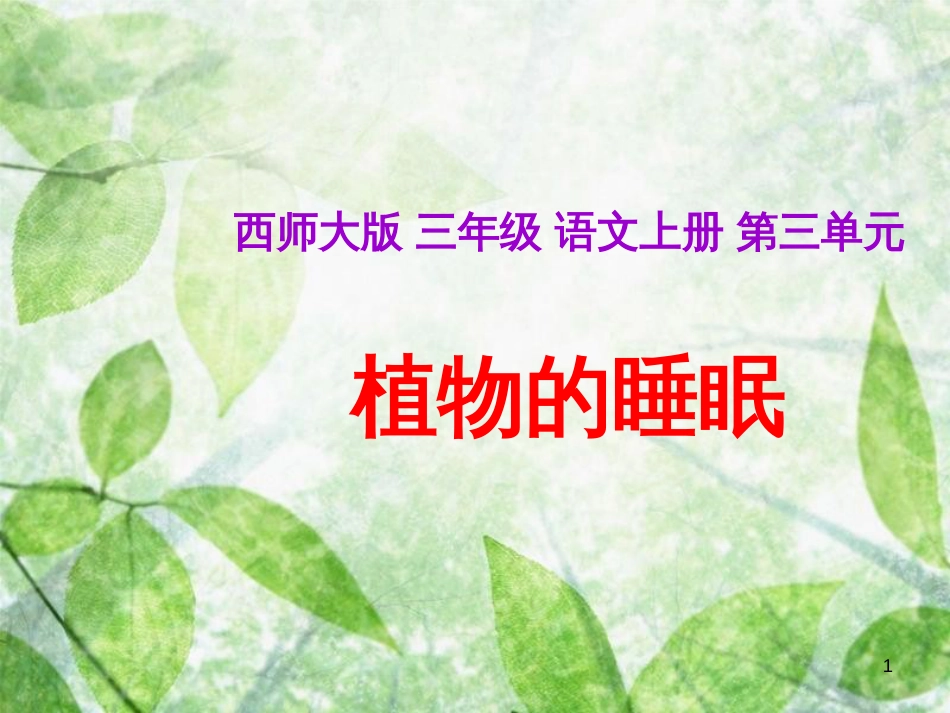 三年级语文上册 第三单元 植物的睡眠课件3 西师大版_第1页
