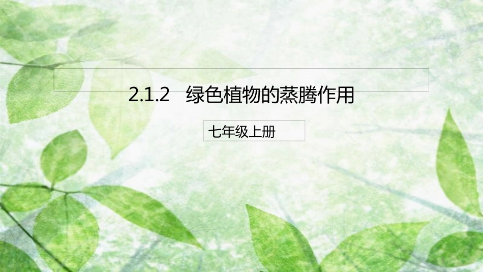 七年级生物上册 2.1.2 绿色植物的蒸腾作用优质课件 （新版）济南版_第1页