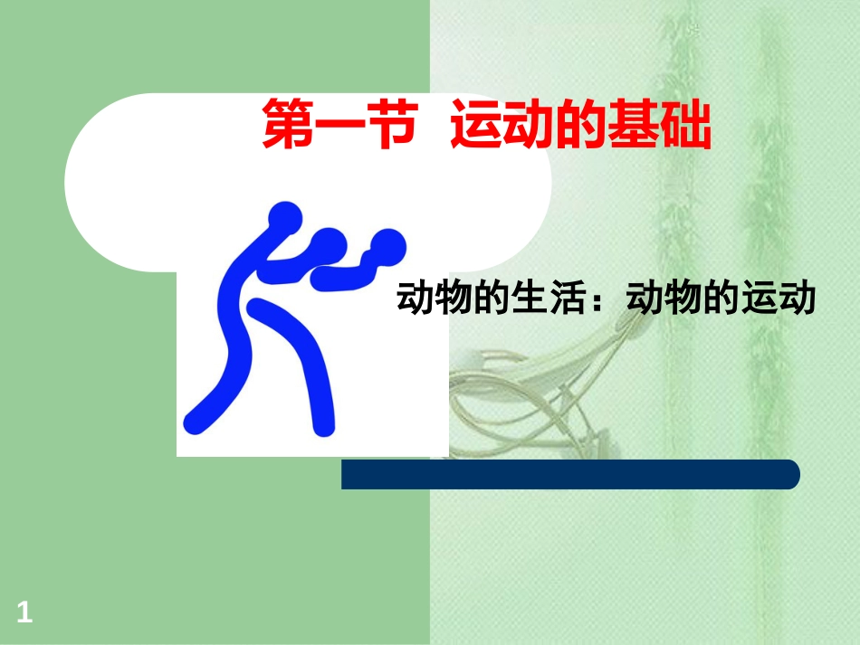 八年级生物上册 第四单元第一章 第一节运动的基础优质课件 （新版）冀教版_第1页