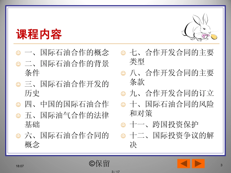 国际石油合作合同_第3页