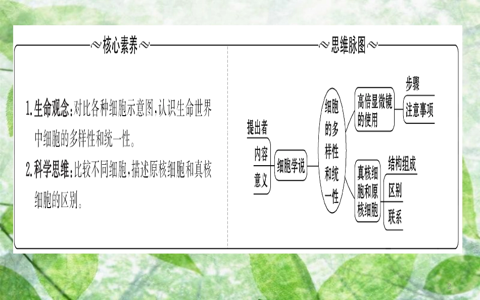 高中生物 第一章 走近细胞 1.2 细胞的多样性和统一性精讲优练课型优质课件 新人教版必修1_第2页