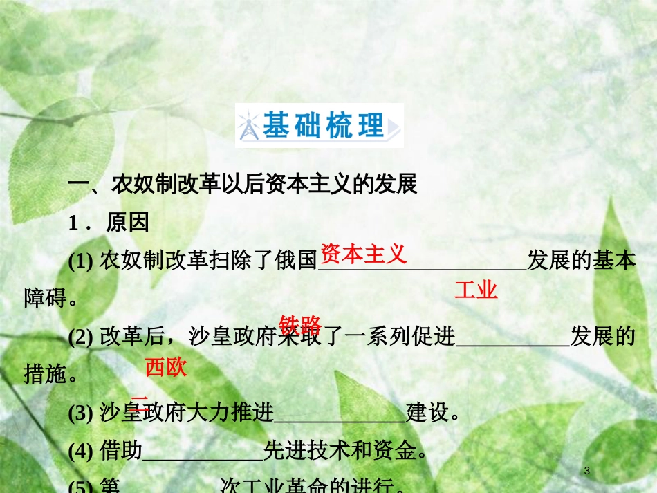 高中历史 第七章 俄国农奴制度改革 7.3 农奴制改革对俄国近代化进程的影响优质课件 北师大版选修1_第3页