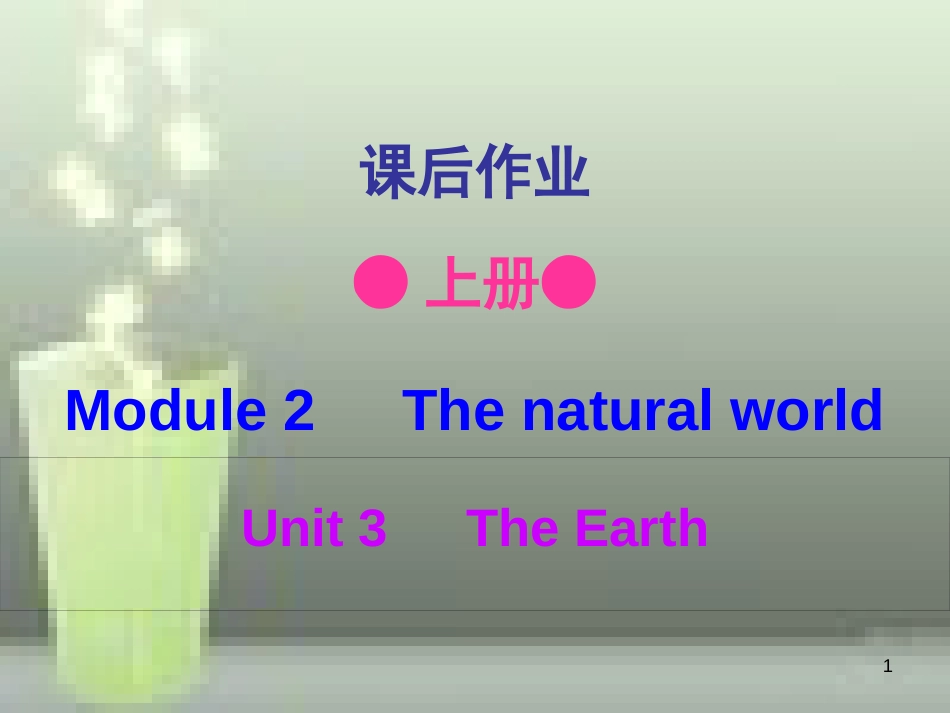 七年级英语上册 Module 2 Unit 3 The Earth（课后作业）优质课件 牛津深圳版_第1页