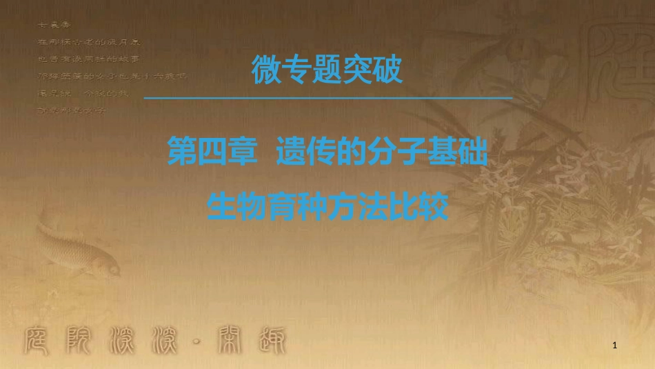 高中生物 第4章 遗传的分子基础 微专题突破 生物育种方法比较优质课件 苏教版必修2_第1页