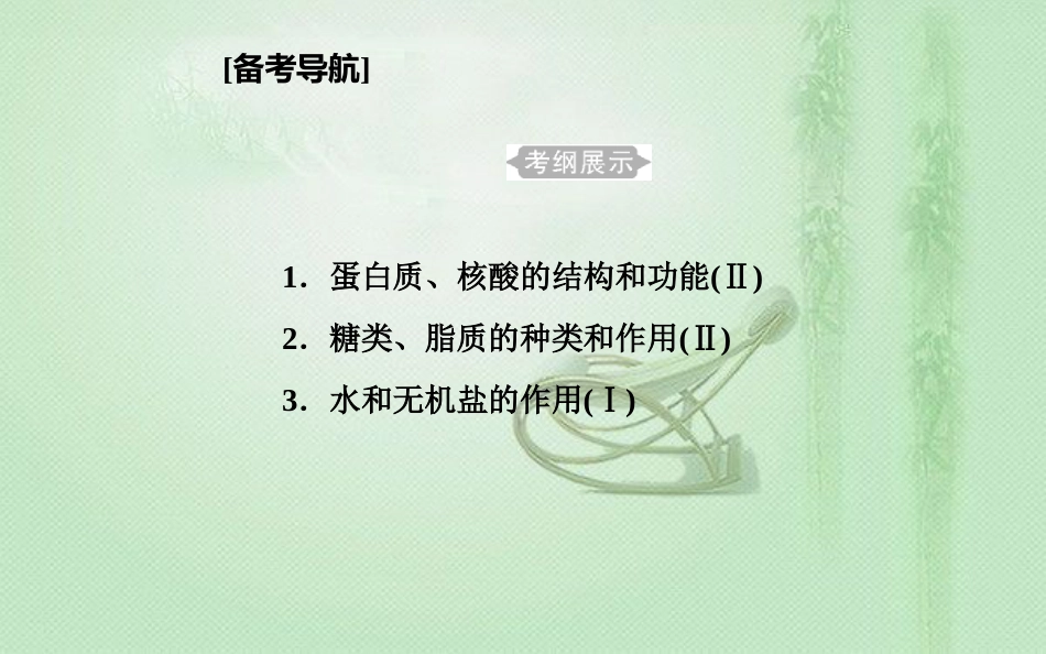 高中生物学业水平复习 专题一 细胞的分子组成 考点1 蛋白质、核酸的结构和功能优质课件_第2页