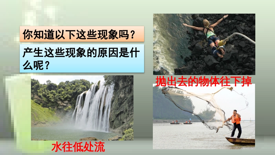 （遵义专版）八年级物理全册 第六章 第四节 来自地球的力优质课件 （新版）沪科版_第2页