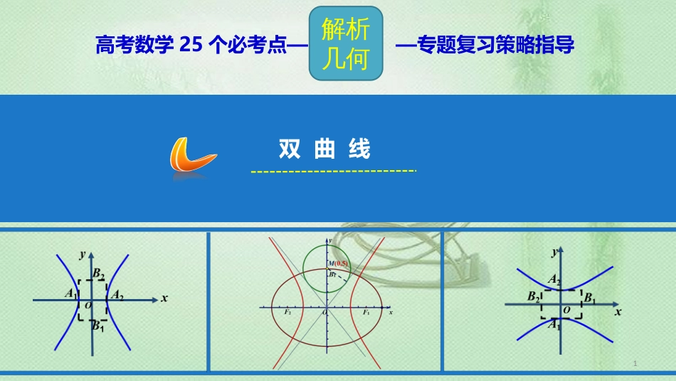 高考数学 25个必考点 专题20 双曲线优质课件_第1页