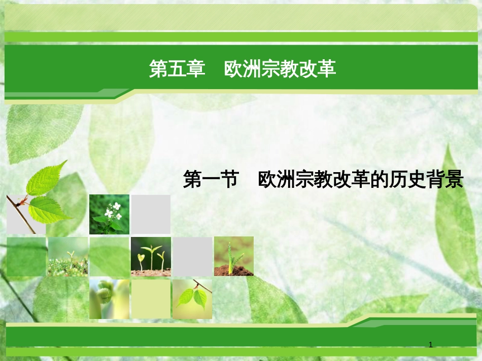 高中历史 第五章 欧洲宗教改革 5.1 欧洲宗教改革的历史背景优质课件 北师大版选修1_第1页