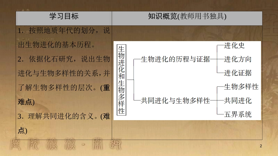 高中生物 第5章 生物的进化 第2节 生物进化和生物多样性优质课件 苏教版必修2_第2页